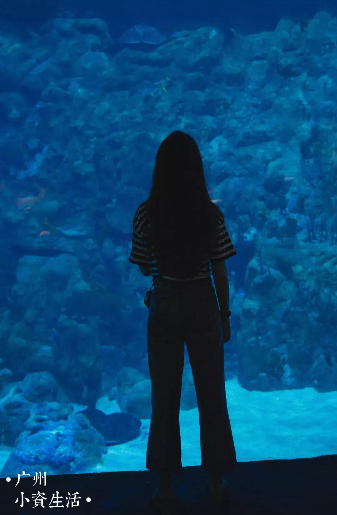 巴南海洋公园一日游攻略 (香港海洋公园游玩攻略)