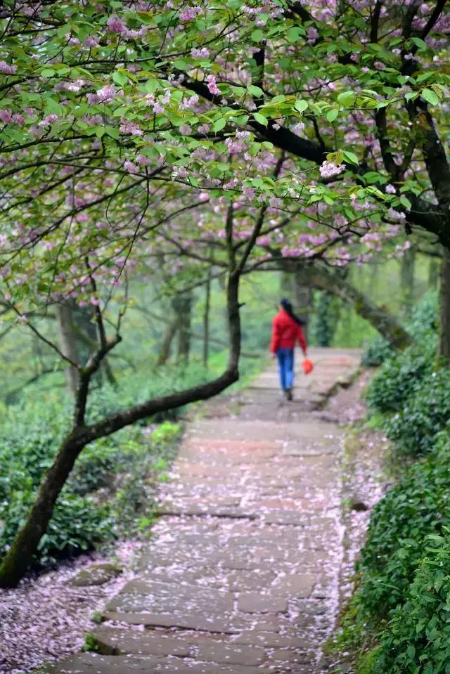 梦里徽州儿歌,梦里徽州音乐