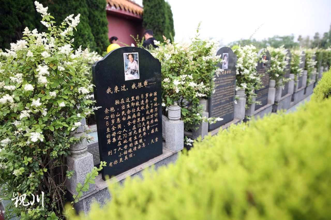 气球葬礼母亲,气球墓园