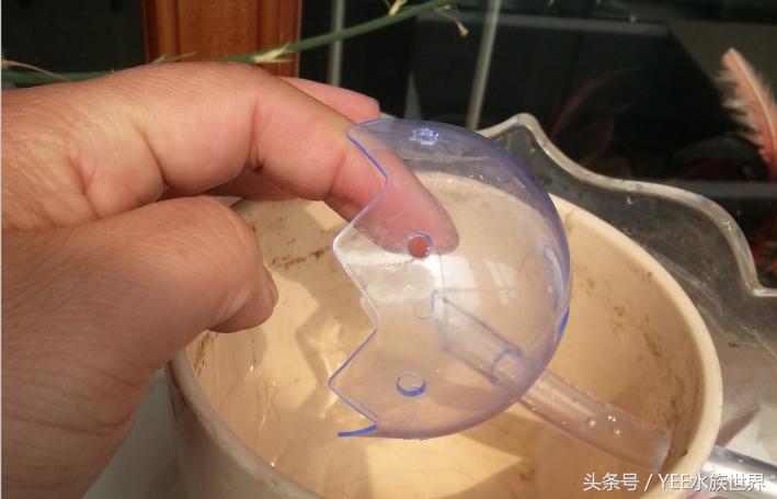 小水泵自制鱼缸过滤系统,小水泵创意作品