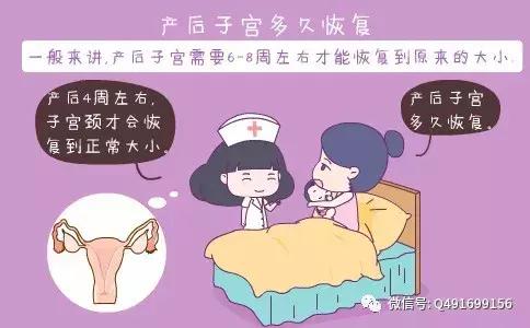 产后子宫是否恢复好有哪些标志？