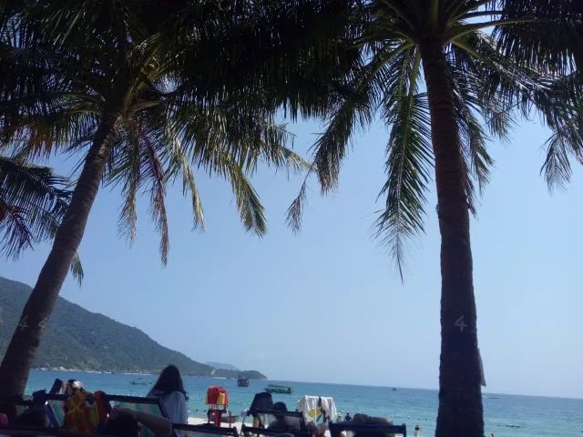 越南岘港的全身护理,越南岘港自由行旅游攻略