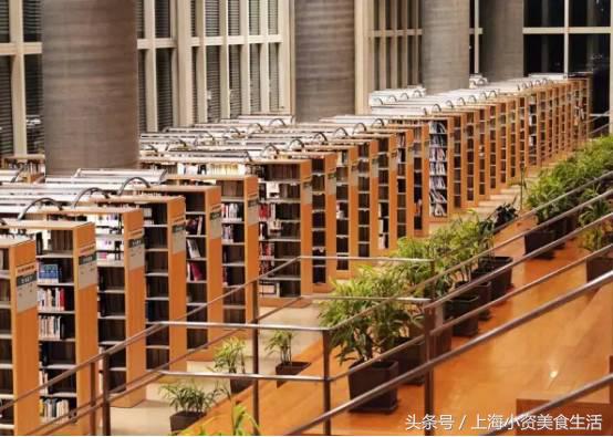 读书季让我们一起走进书香,读书环境优美的书店