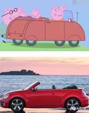 生活圈被它攻占，明星主动“蹭”它热度，现在的流量担当是这只猪