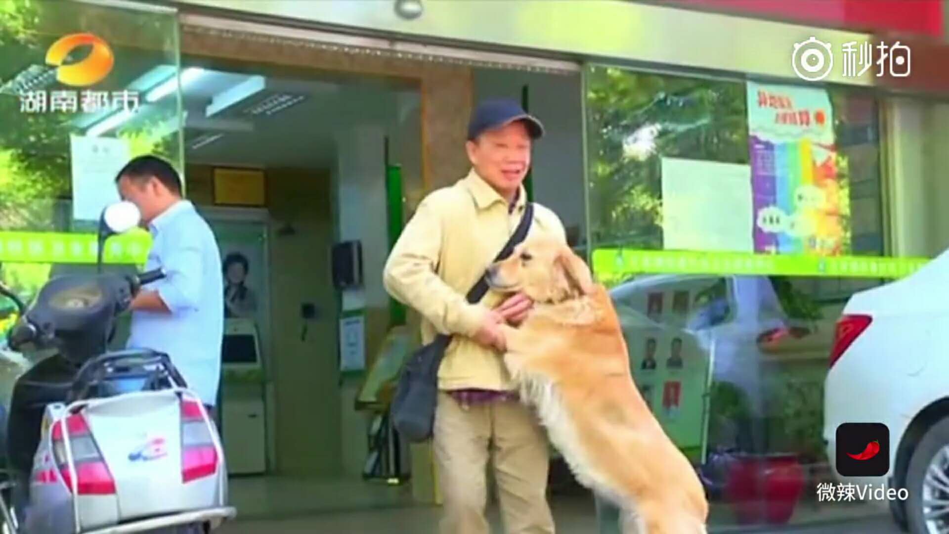 暖男大金毛，帮助主人治好忧郁症