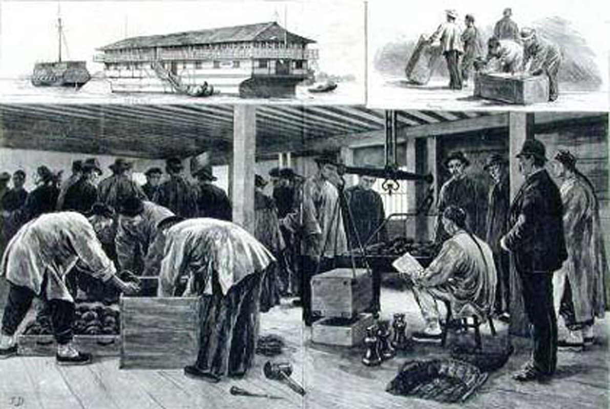 *片鸦**战争前的茶税，英国收30两，清只收5两，学会一招，本可不打