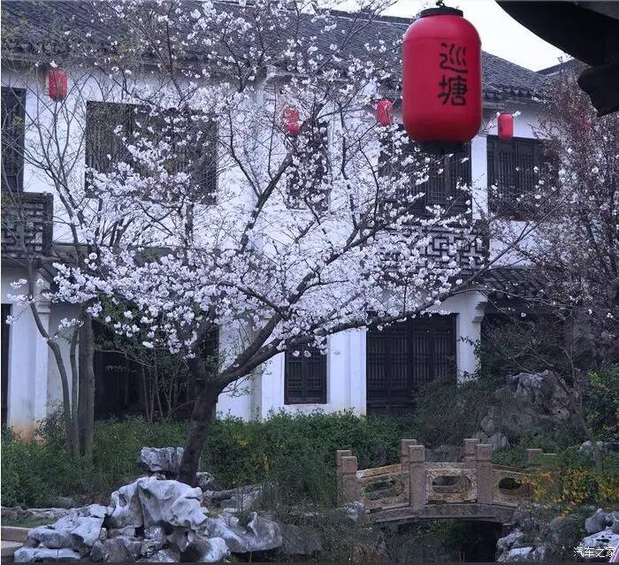 东南dx3自驾游,江浙寻花事
