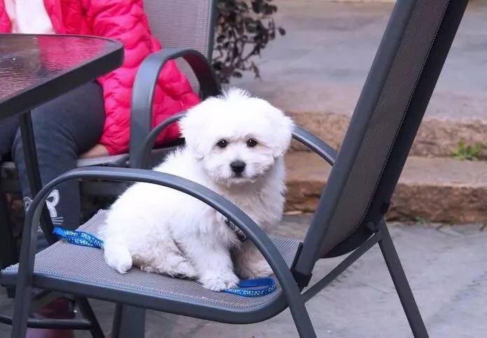 东南dx3自驾游,江浙寻花事