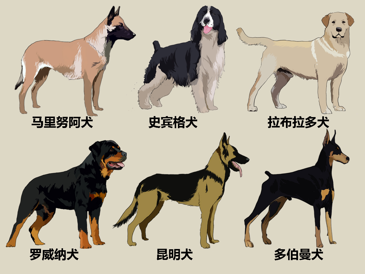 军犬的一生漫画,进击的军犬