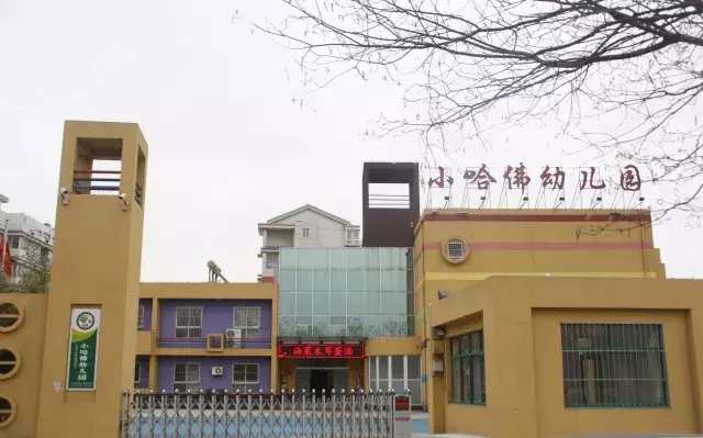 东营比较好的幼儿园,东营幼儿园哪个好