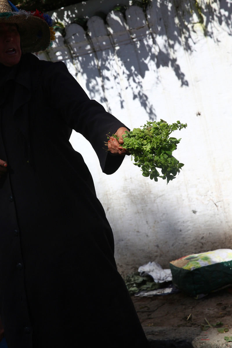 摩洛哥人人都听过的歌,摩洛哥一切皆有可能