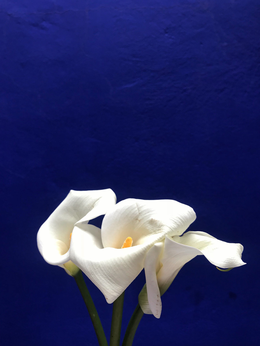 摩洛哥人人都听过的歌,摩洛哥一切皆有可能