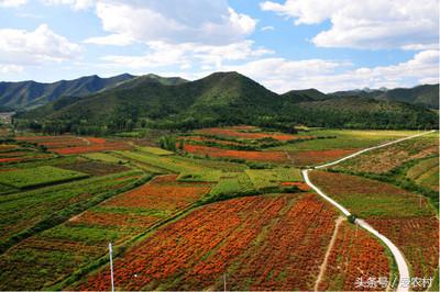 乡村道路通往城市,乡村通往村里的路