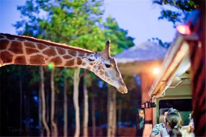 珠海海洋公园项目,2022年珠海国家战略填海工程