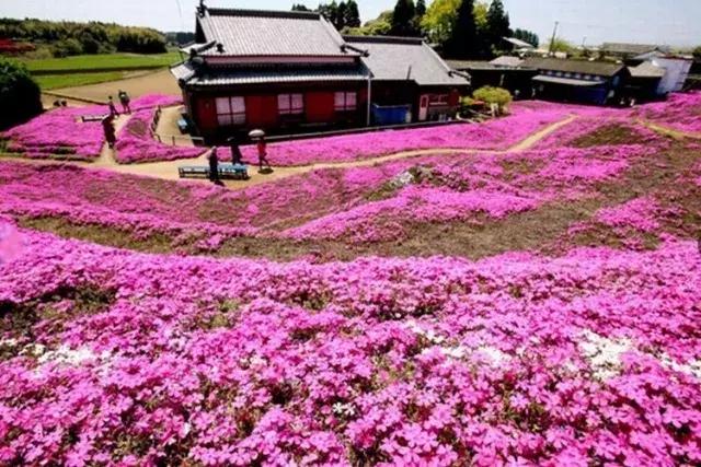 五一小长假尽情撒欢,2021五一川内游推荐