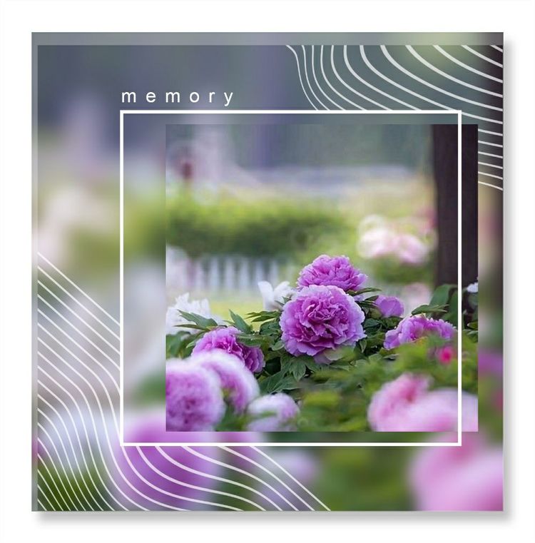 《洞天春》色几多情——（18—7·同韵）