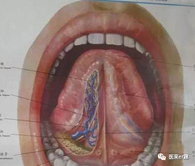 发热与热性惊厥，爸妈的盲点和难点详解，让您不做发热恐惧症父母