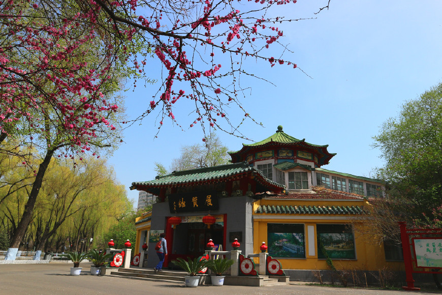 哈尔滨兆麟公园与母校一道之隔，少年时代的顽皮记忆