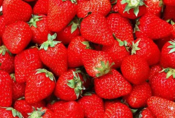 五一游玩小短文一年级,五一游玩的小短文50字