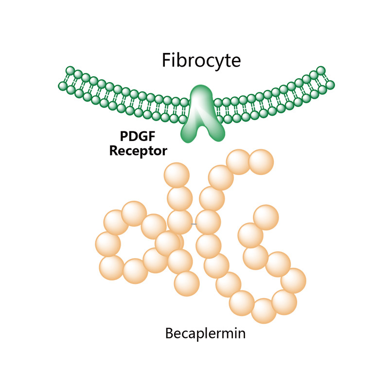 血小板衍化生长因子,血小板激活因子受体抑制剂是什么