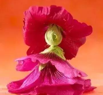 五一聚会的图片可保存,五一微信群图片