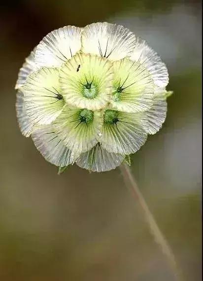 五一聚会的图片可保存,五一微信群图片