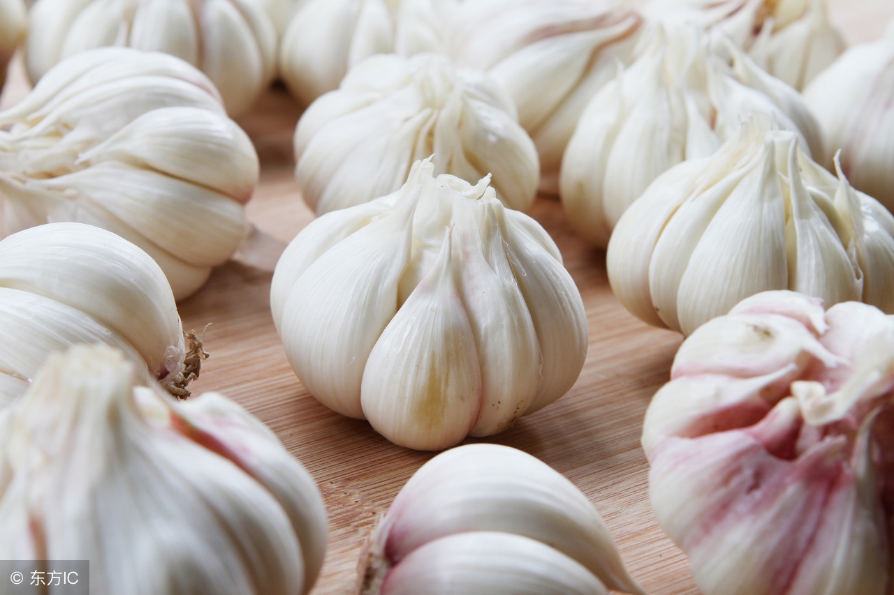 大蒜价格多少钱一斤？4月29日大蒜最新价格行情，货多稍显压价