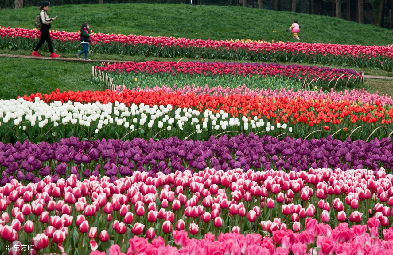 生活语录相册,生活感悟相册