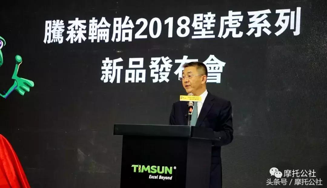 腾森壁虎系列轮胎,腾森轮胎蜥蜴