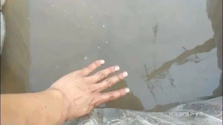 种碗莲教程视频,种碗莲怎么施肥