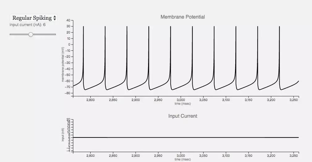 深度神经网络学习,简述人工神经网络的生物学基础