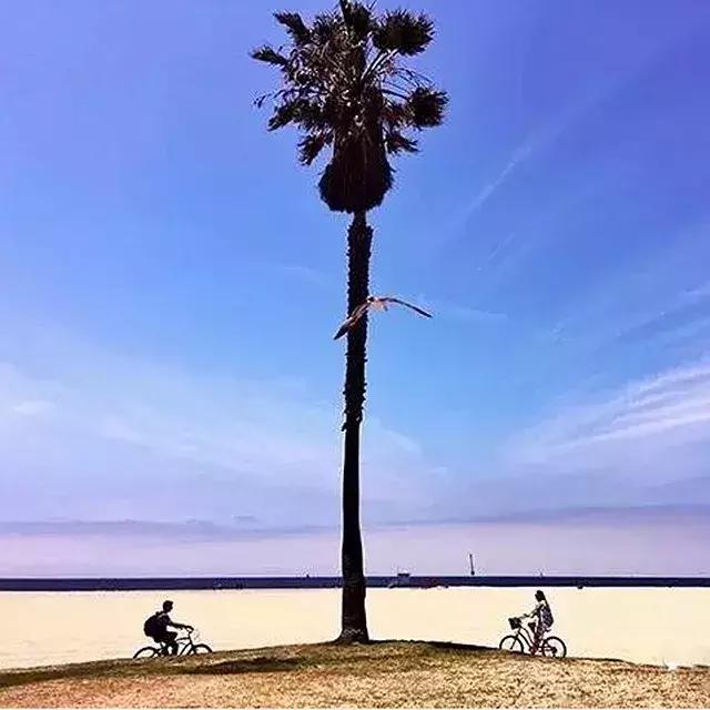 摄影怎么构图10大构图法,简单却实用的摄影技巧