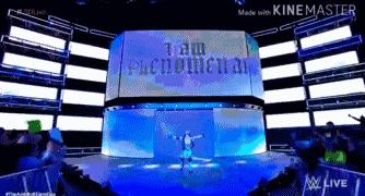 wwetherock出场音乐,wwe中邑真辅出场音乐叫什么名字