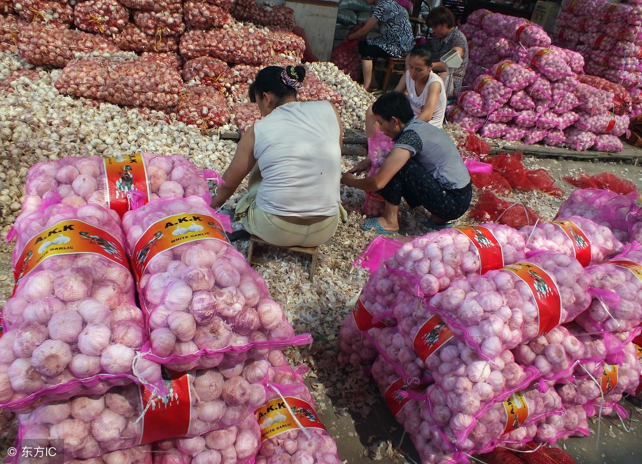 近二十年大蒜行情走势规律,求近五年大蒜行情走势