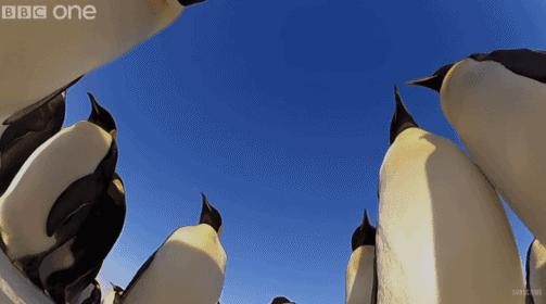 假期一定要给孩子看的20部纪录片,12部适合和孩子一起看的纪录片