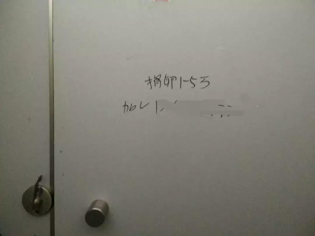 20岁女大学生捐卵,女大学生捐卵案