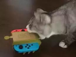 日本纸牌任天堂,任天堂入门小技巧