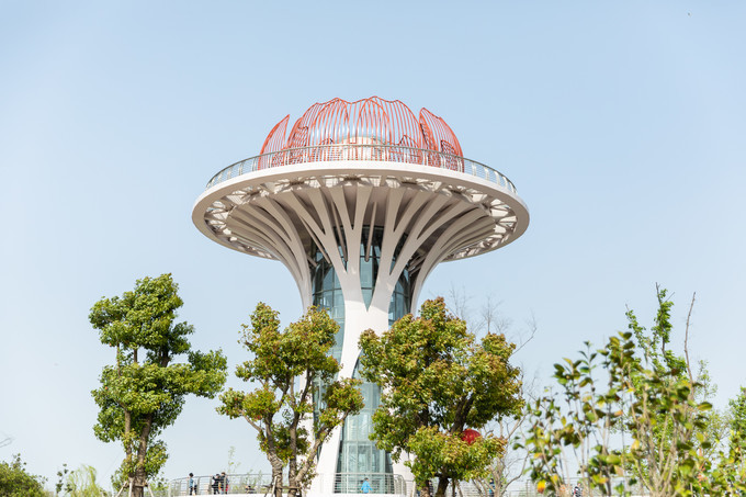 花博园滁州风景,滁州花博园公园美景