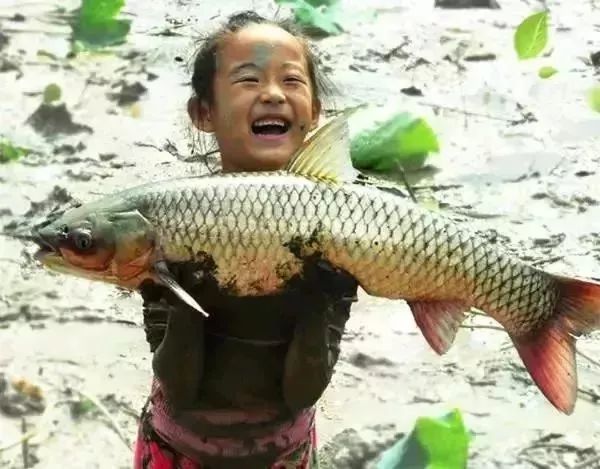 五一朝天旅游,踏青出游五一小长假怎么玩