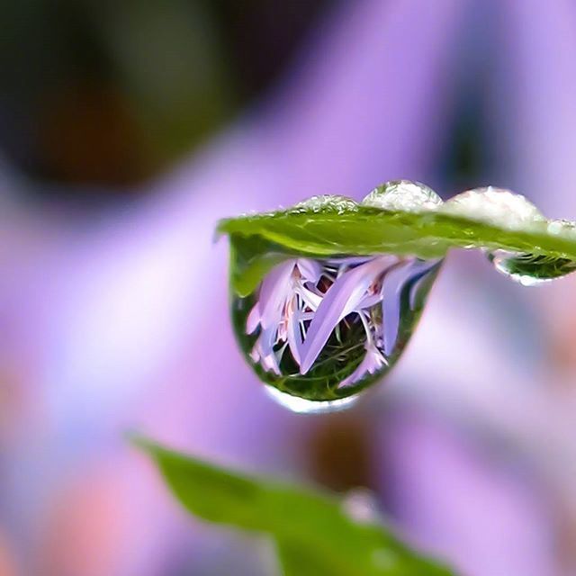 情感咨询｜栗子姐每日情感问答（0506）