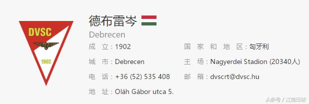 最强匈牙利足球,匈牙利特色足球运动