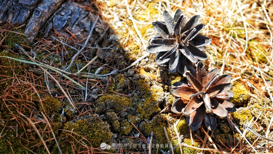 朴树冷门却很好听的歌,朴树适合西藏的歌