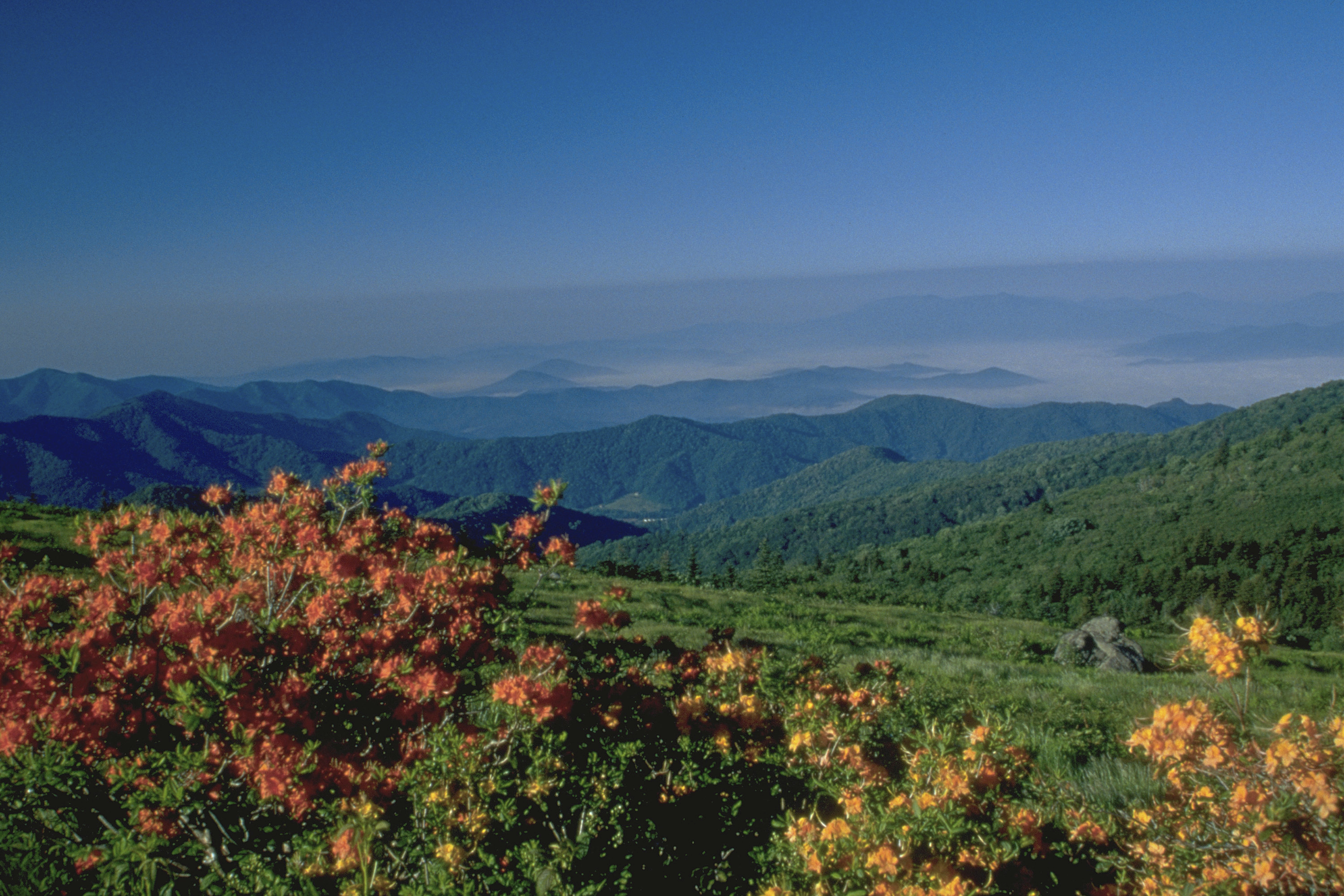 TNC收到美国田纳西州史上最大面积土地捐赠