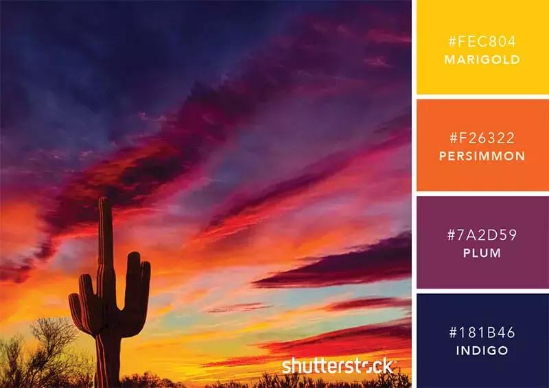 相见恨晚的色彩搭配,两种好看的颜色搭配