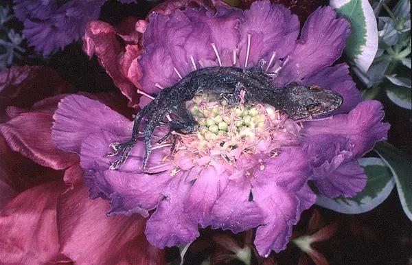 北京很忙！5月超多展览、话剧、演唱会！还免费？