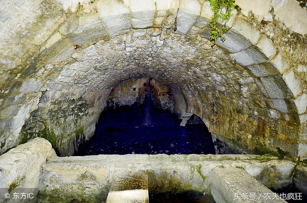 甲鱼塘墙里为啥有甲鱼,为什么新挖的水塘里面有甲鱼