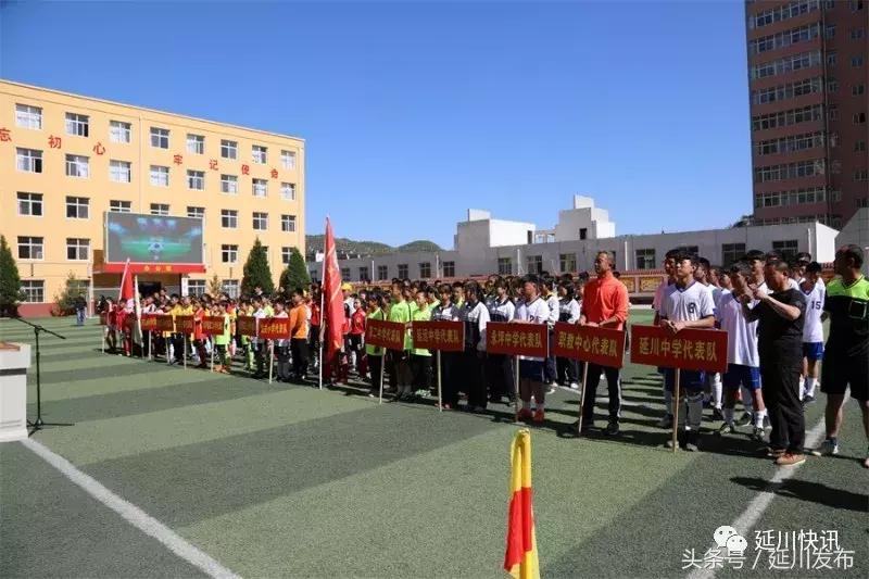 绿茵少年足球联赛,绿茵场上的足球少年