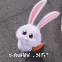 厦门大件垃圾该怎么预约处理,大件垃圾的处理厦门