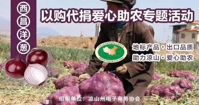 西昌20万吨洋葱在等待,与政府一起发力,别让洋葱相信眼泪!