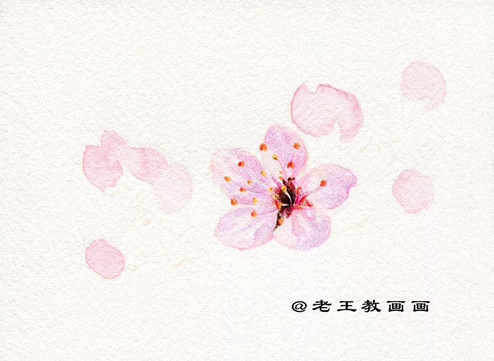 桃花桃树用彩铅怎么画,三年级简单画桃花彩铅